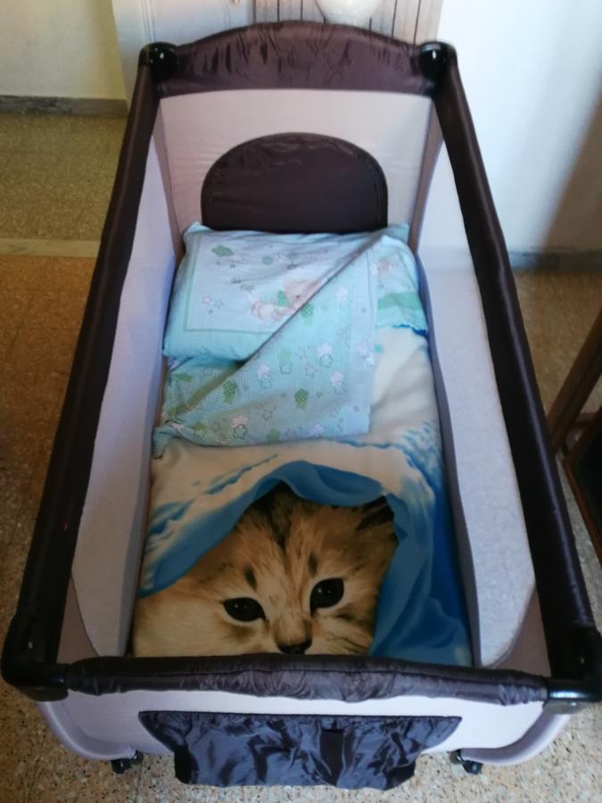 バーリ I Due Baroni - Fronte Campus Bed & Breakfast エクステリア 写真
